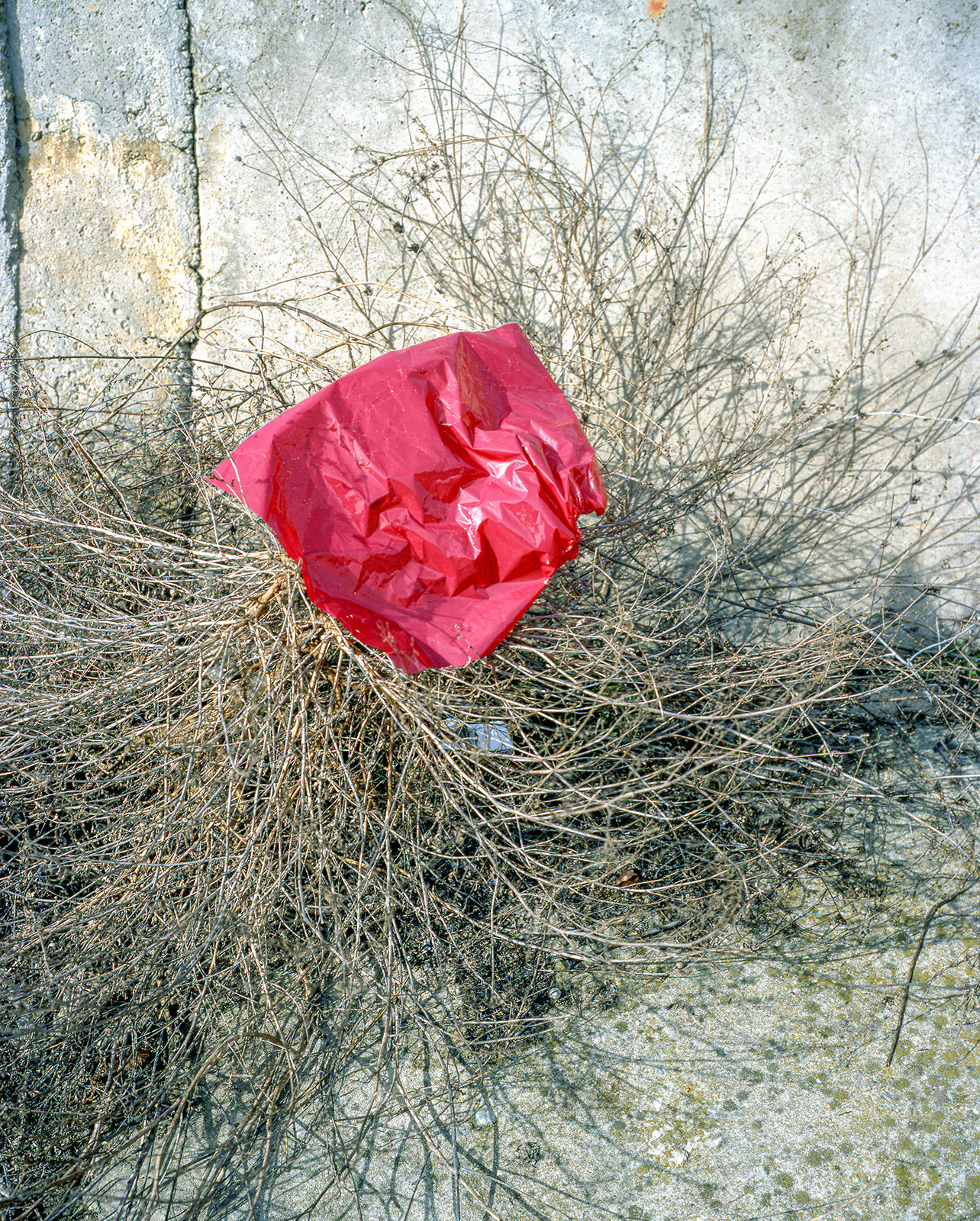 Bucharest — 8