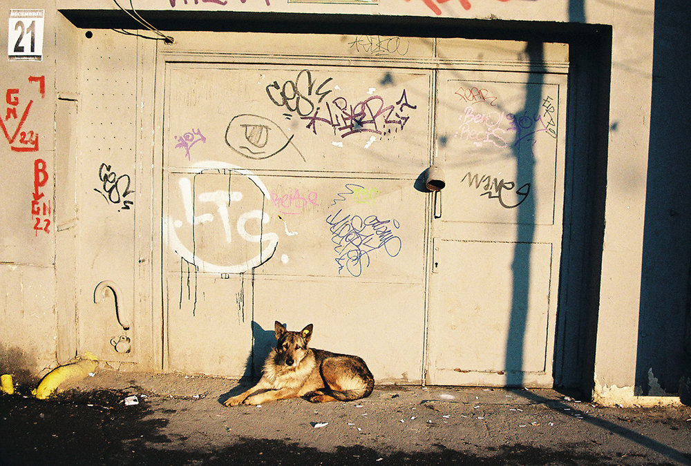 Bucharest — 103