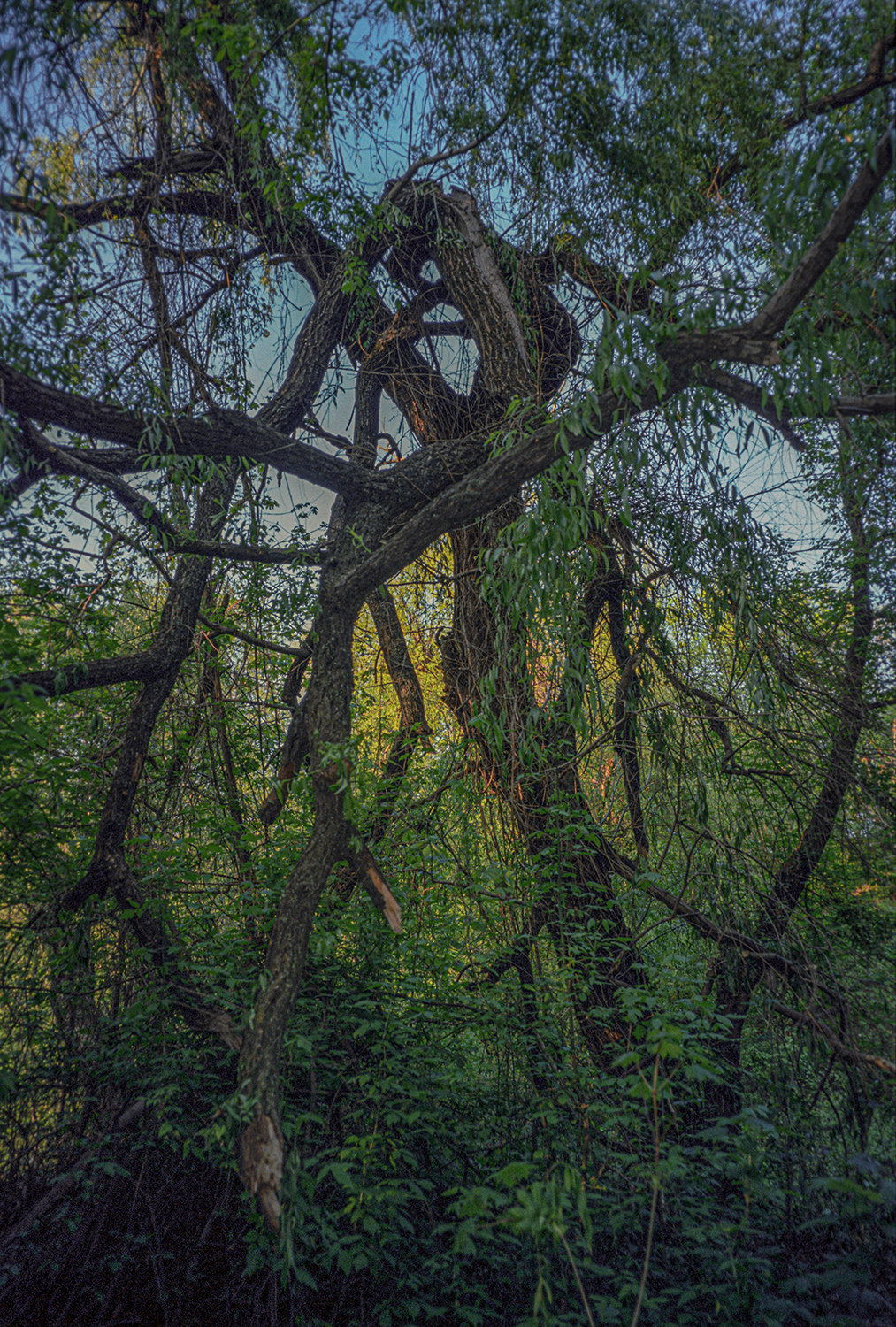 Bucharest — 119