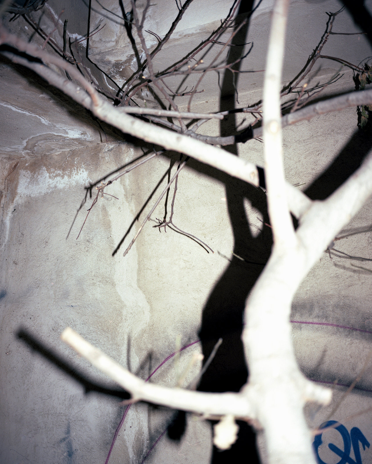 Bucharest — 30