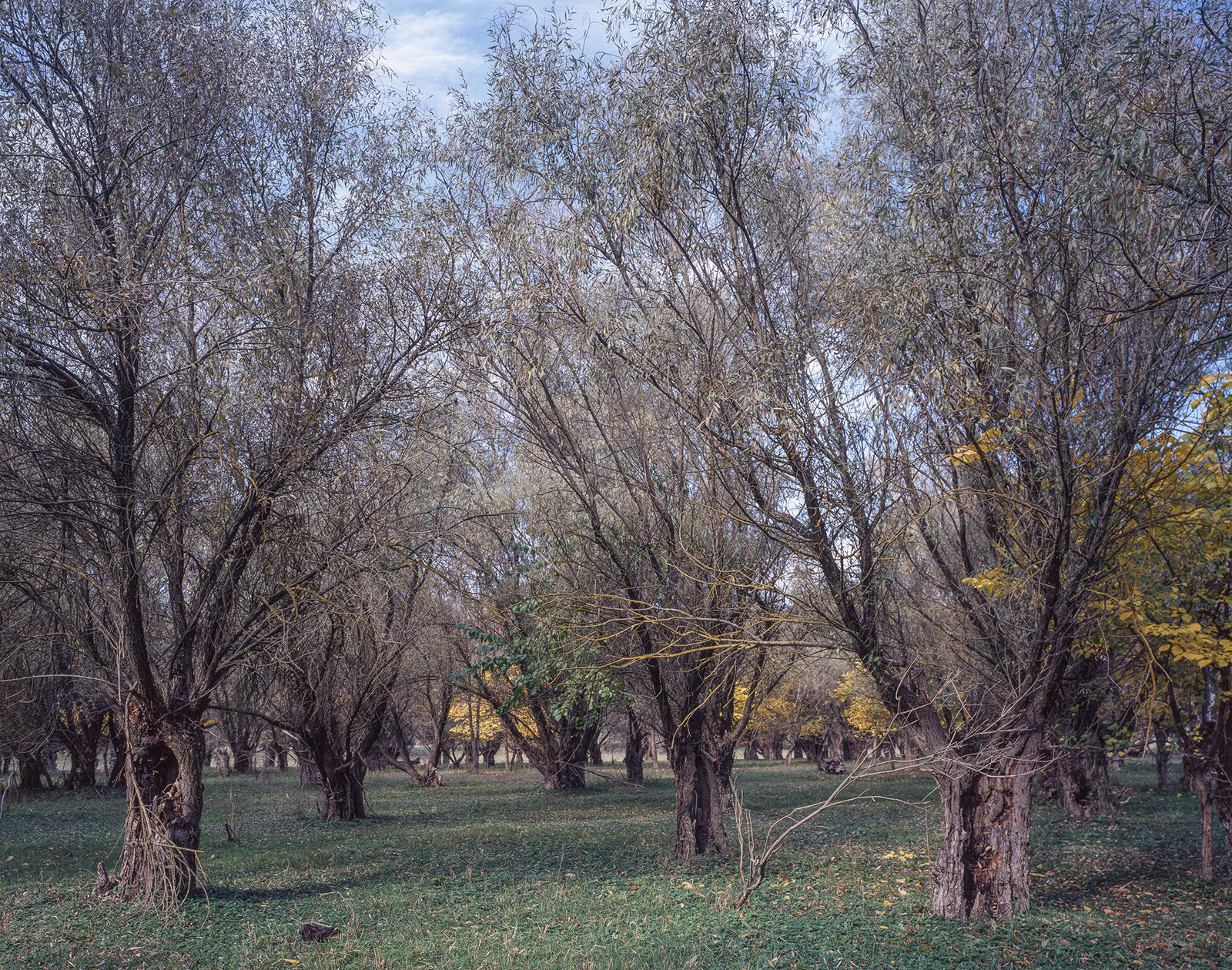 Danube. Baziaș to Sulina — 46